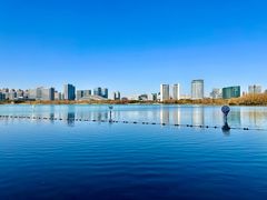 -天鹅湖体育公园