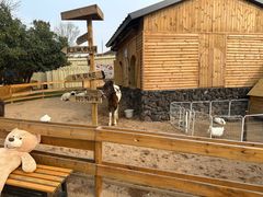 -HERRE·FARM 赫尔露营农场·团建聚会包场