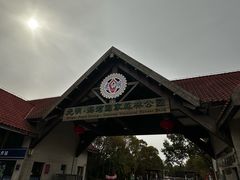 -上海海湾国家森林公园