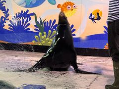 -太平洋海底世界