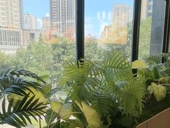 -海底捞火锅(高科广场店)