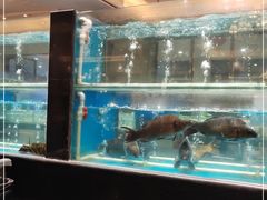 水产区-大铁勺新津菜(东丽阳光新业广场店)