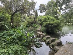 -花溪公园