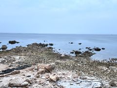 -海岛日记(养马岛店)