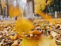 -东钱湖水上乐园(南门)