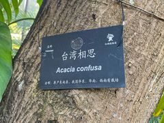 -深圳仙湖植物园