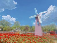 -祥源·阜阳生态乐园