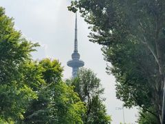-龙塔