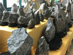 -遂昌金矿国家矿山公园