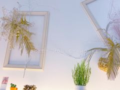 -春树下·树屋花房西餐厅(罍街AS1980店)