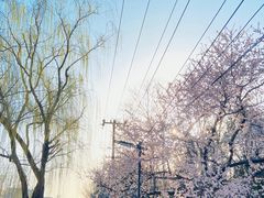 -元大都城垣遗址公园