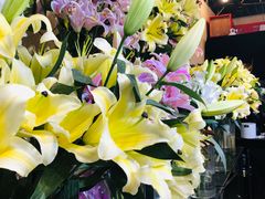 -双季花艺园艺市场(浦东店)
