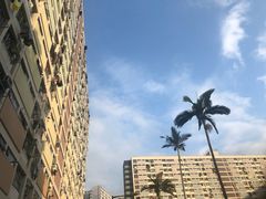 -彩虹村