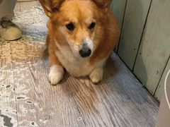 -小时光咖啡馆(北锣鼓巷店)