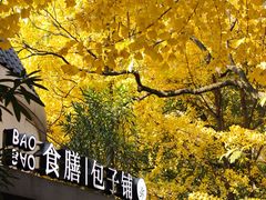 -食膳公园包子铺(烈士公园店)