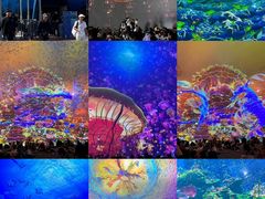 -海合安天津极地海洋公园