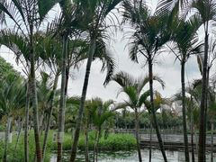 -映月湖公园