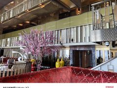 -金轩中餐厅 Jin Xuan(浦东丽思卡尔顿酒店)