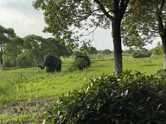 -上海都市菜园
