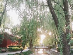 -菖蒲河公园