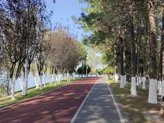 -艾溪湖湿地公园