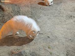 -丹东市五龙山风景区