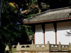 -虎跑公园