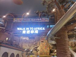 -卡通尼·Safari非洲探索乐园·生日会(金桥国际商业广场店)