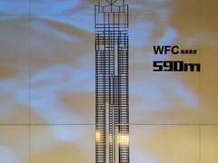 -WFC会仙楼观景台