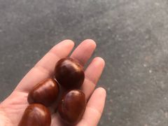 -方林富炒货店(西溪路78号本人店)