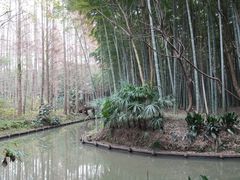 -同里国家湿地公园
