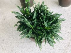 -深圳悦如酒店(香蜜公园车公庙地铁站店)