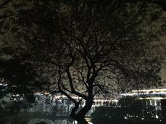 -秦岭天竺山景区