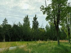 -白鹭湾湿地公园