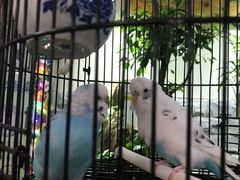 -丽江庭院之丽江往事(安定门店)