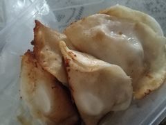 -胖子锅贴(双阳路111弄店)