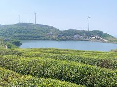 -东白山