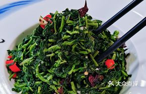 Bitter Greens Salad