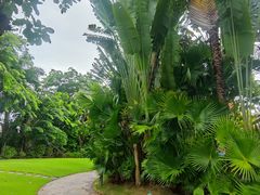 -三亚凤凰水城凯莱度假酒店