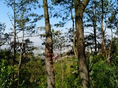 -福建泉州仙公山风景名胜区