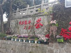 -十八棵（老龙井）御茶园(老龙井店)