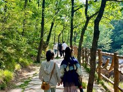 -西泰山风景区