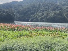 -广州市石门国家森林公园