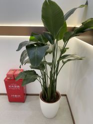 -禾丽康美医疗美容医院