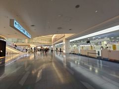 -TIAT DUTY FREE SHOP NORTH(羽田机场店)