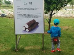 android_upload_pic-上海多利农业发展有限公司