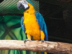 -海合安武汉极地海洋公园