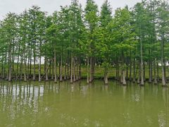 -苏州太湖国家湿地公园