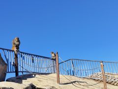 -崂山仰口游览区