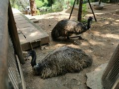 -昆明动物园